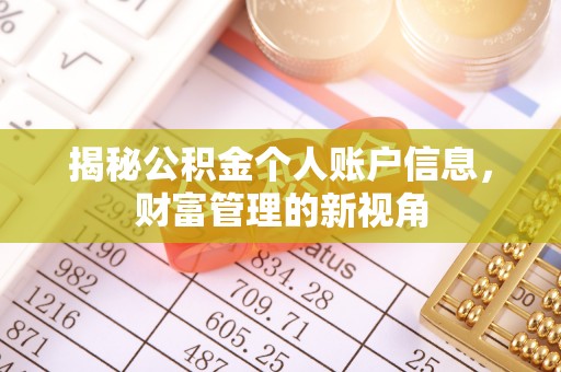 在线揭秘公积金个人账户信息，财富管理的新视角