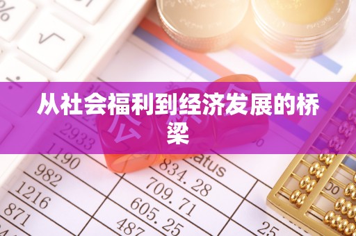 在线从社会福利到经济发展的桥梁