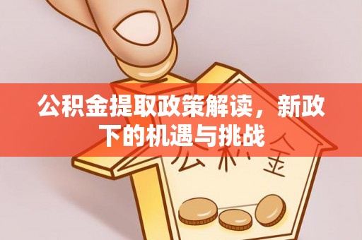 在线公积金提取政策解读，新政下的机遇与挑战