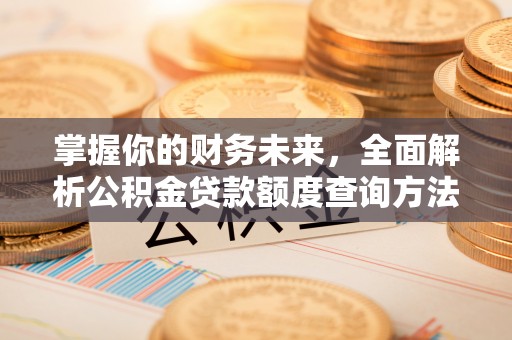 在线掌握你的财务未来，全面解析公积金贷款额度查询方法