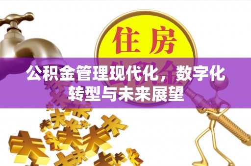 在线公积金管理现代化，数字化转型与未来展望