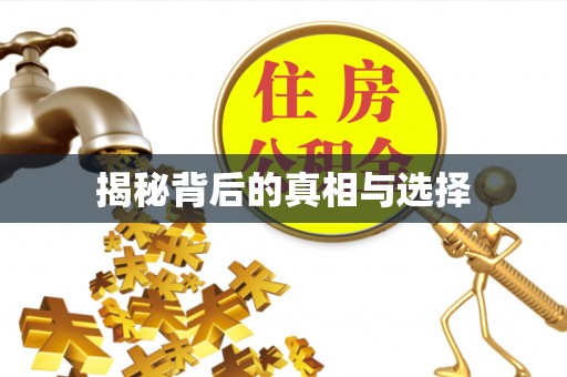 在线揭秘背后的真相与选择
