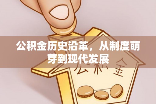 在线公积金历史沿革，从制度萌芽到现代发展