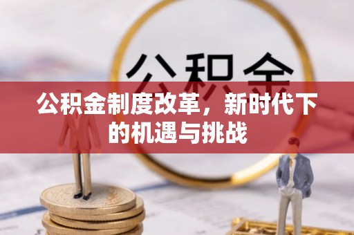在线公积金制度改革，新时代下的机遇与挑战