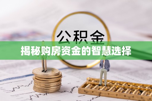 在线揭秘购房资金的智慧选择