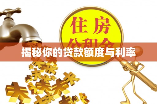 在线揭秘你的贷款额度与利率