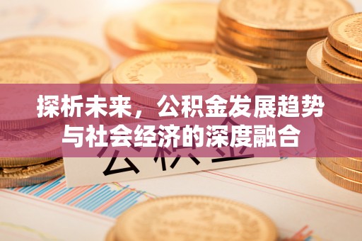 在线探析未来，公积金发展趋势与社会经济的深度融合