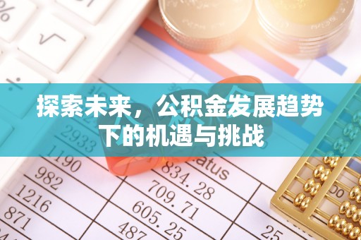在线探索未来，公积金发展趋势下的机遇与挑战