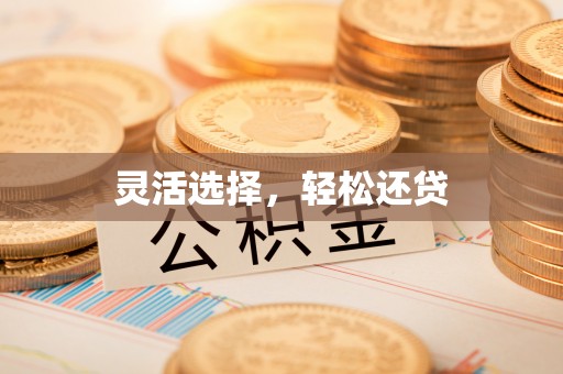 在线灵活选择，轻松还贷