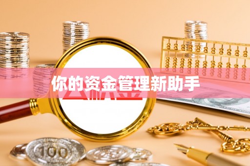 在线你的资金管理新助手