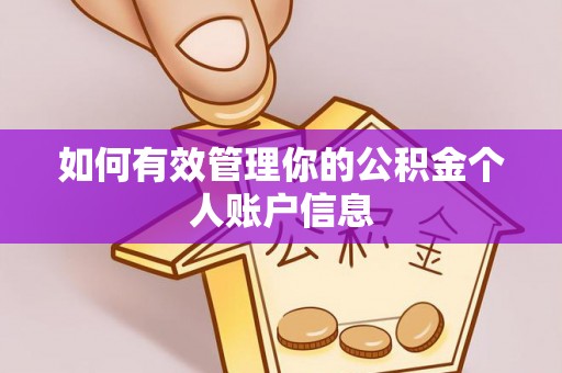 在线如何有效管理你的公积金个人账户信息