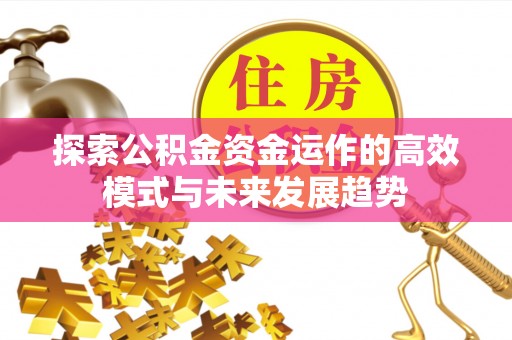 在线探索公积金资金运作的高效模式与未来发展趋势