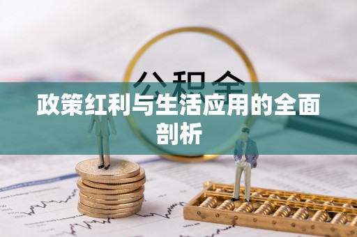 在线政策红利与生活应用的全面剖析