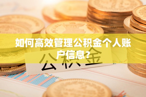 在线如何高效管理公积金个人账户信息？
