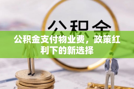在线公积金支付物业费，政策红利下的新选择
