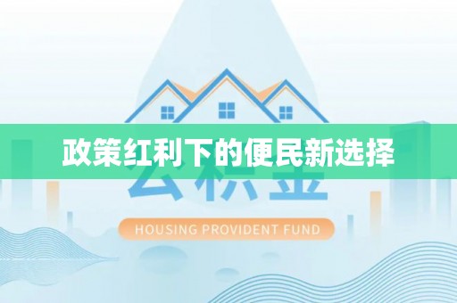 在线政策红利下的便民新选择