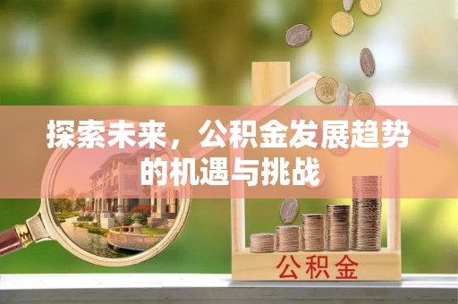 在线探索未来，公积金发展趋势的机遇与挑战