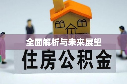 在线全面解析与未来展望