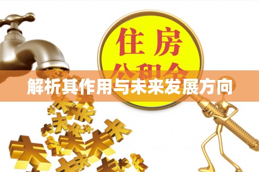 在线解析其作用与未来发展方向