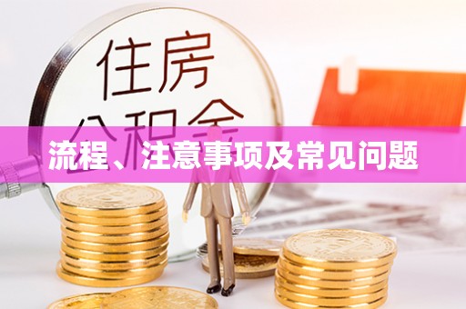 在线流程、注意事项及常见问题