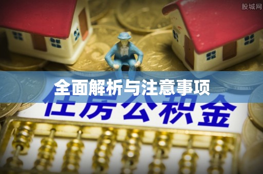 在线全面解析与注意事项