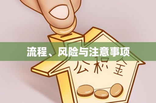 在线流程、风险与注意事项